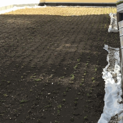 Wykonanie hydroizolacji tarasu żelbetonowego nad garażem przy użyciu pap termozgrzewalnych typu Green Roof firmy Icopal_1