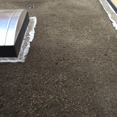 Wykonanie hydroizolacji tarasu żelbetonowego nad garażem przy użyciu pap termozgrzewalnych typu Green Roof firmy Icopal_3